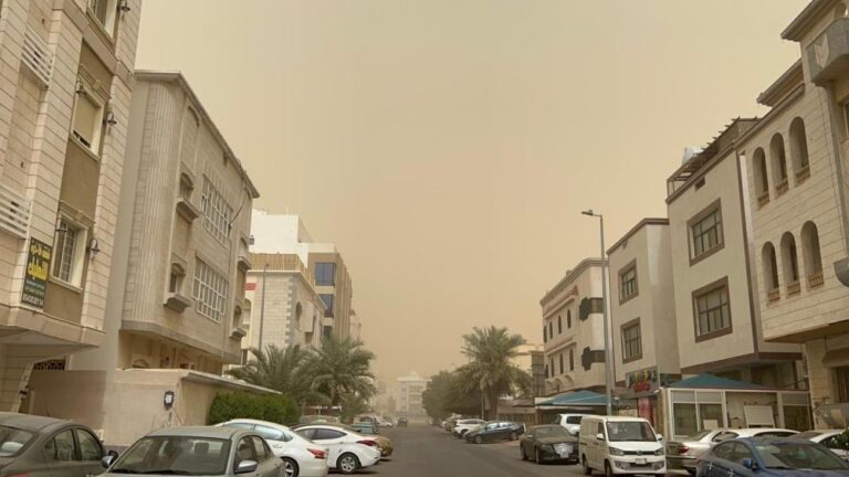 944836a8 42fe 461c aa27 14e830bef26c file.jpg