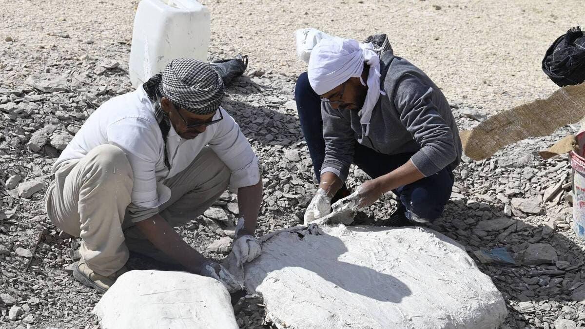 9a29f7c0 62c1 42f6 bfe3 483e86cc3e73 file.jpg