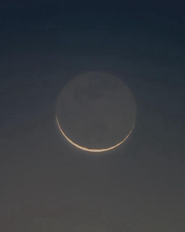 9b9305ce 4620 4ac2 816c cd821e2c14f3 file.jpg