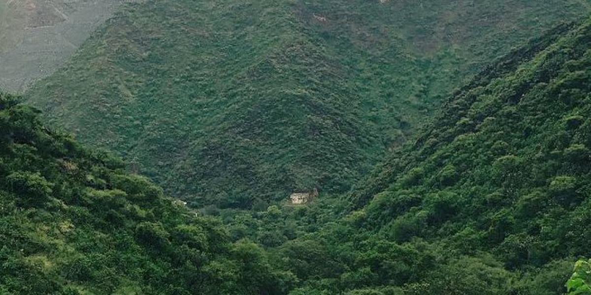 9f1c3e1f f914 4893 9273 6297615e4097 file.jpg