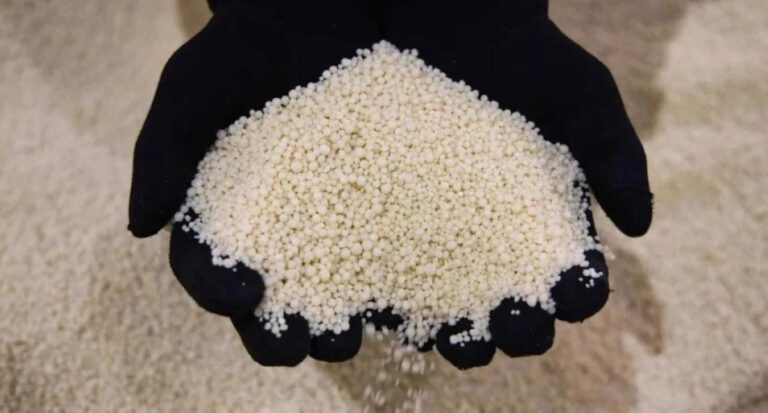 A07a8691 708f 4165 a4e2 cbb72195dedd file.jpg