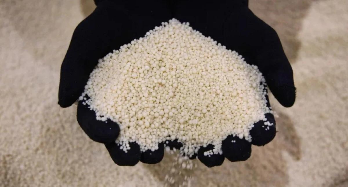 A07a8691 708f 4165 a4e2 cbb72195dedd file.jpg