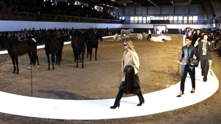 A0ff0b0b 470c 484a b0d7 0c85e43a17c5 file.jpg