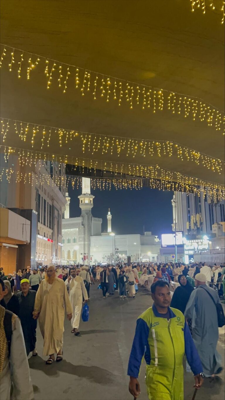 A33c9814 a7db 4fd7 abe8 e7ee19d840d8 file.jpg