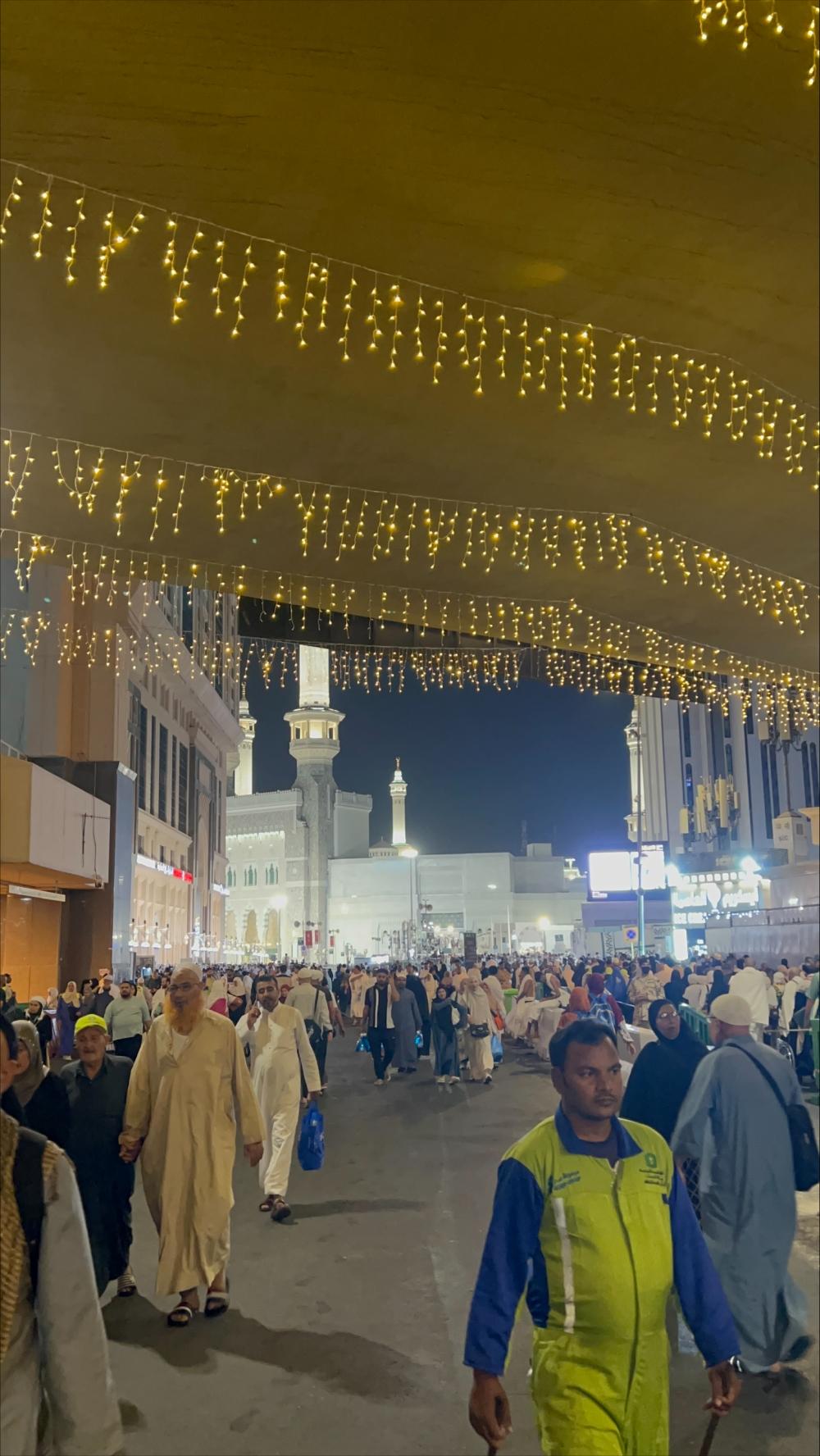 A33c9814 a7db 4fd7 abe8 e7ee19d840d8 file.jpg