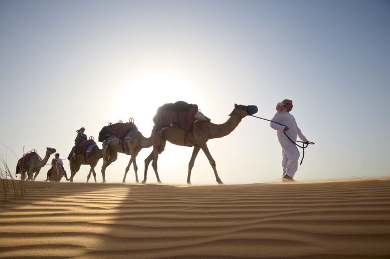 تجارب جديدة وعروض إقامة مميزة في منتجع المها وسبا الصحراء الفاخر في دبي
