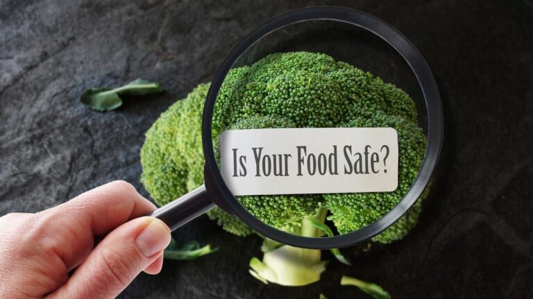 A56036f5 d259 4556 bf65 e28a1091ff60 file.jpg