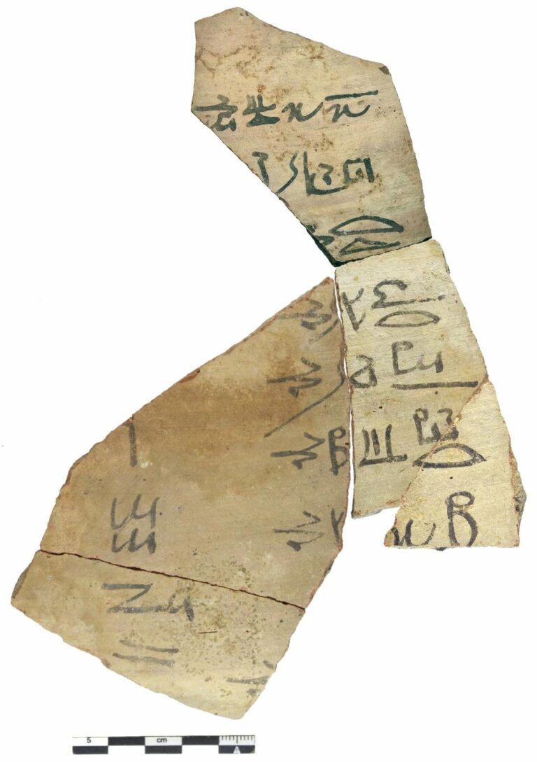 A61873fc 531a 4dc4 9651 85e3e4cc3f4c file.jpg