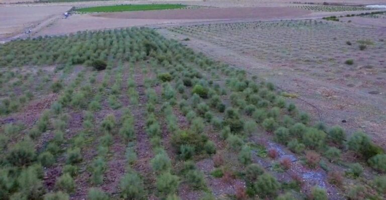 Acd4700c dbf0 4350 a263 22da1136930f file.jpg