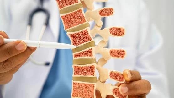 Ad0c5dbc b02e 4f76 a7de 213ad1a360ea file.jpg