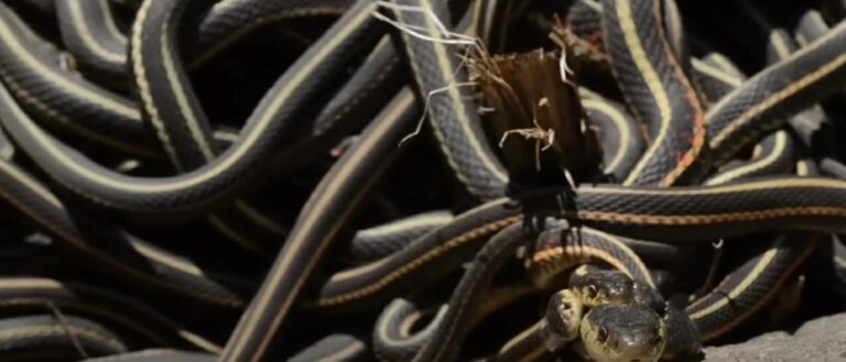 Ad3d4ca8 7f0d 4b4f bf18 8806b50bf9fe file.jpg