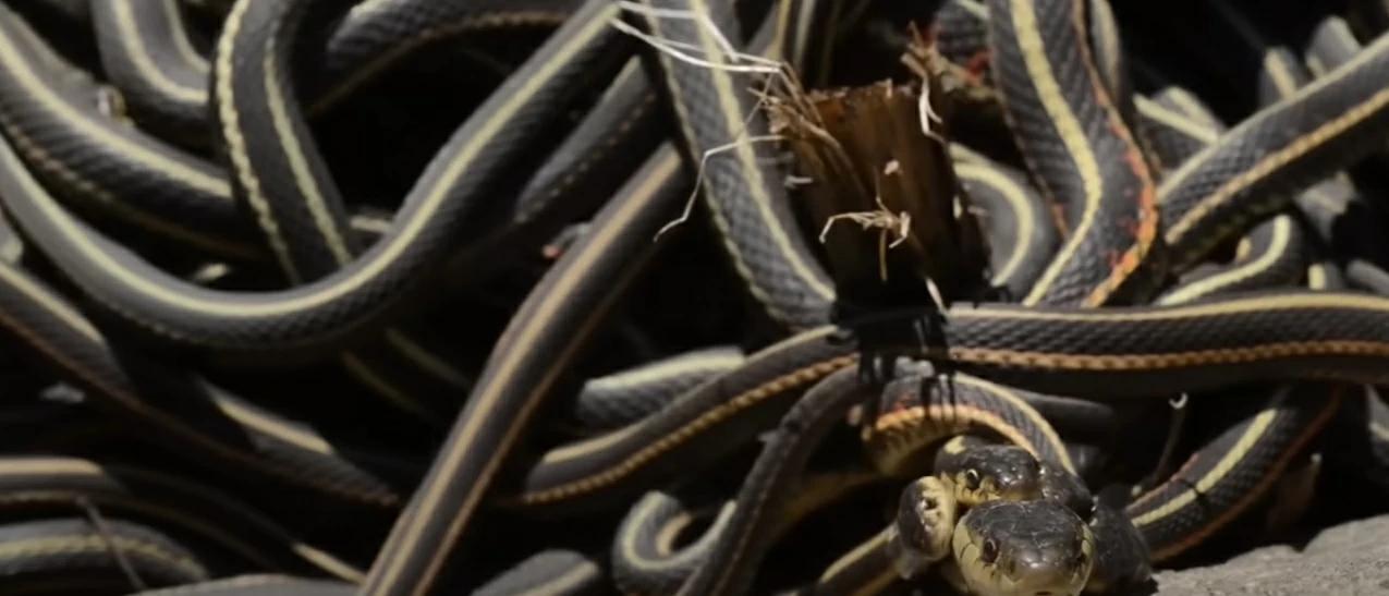 Ad3d4ca8 7f0d 4b4f bf18 8806b50bf9fe file.jpg