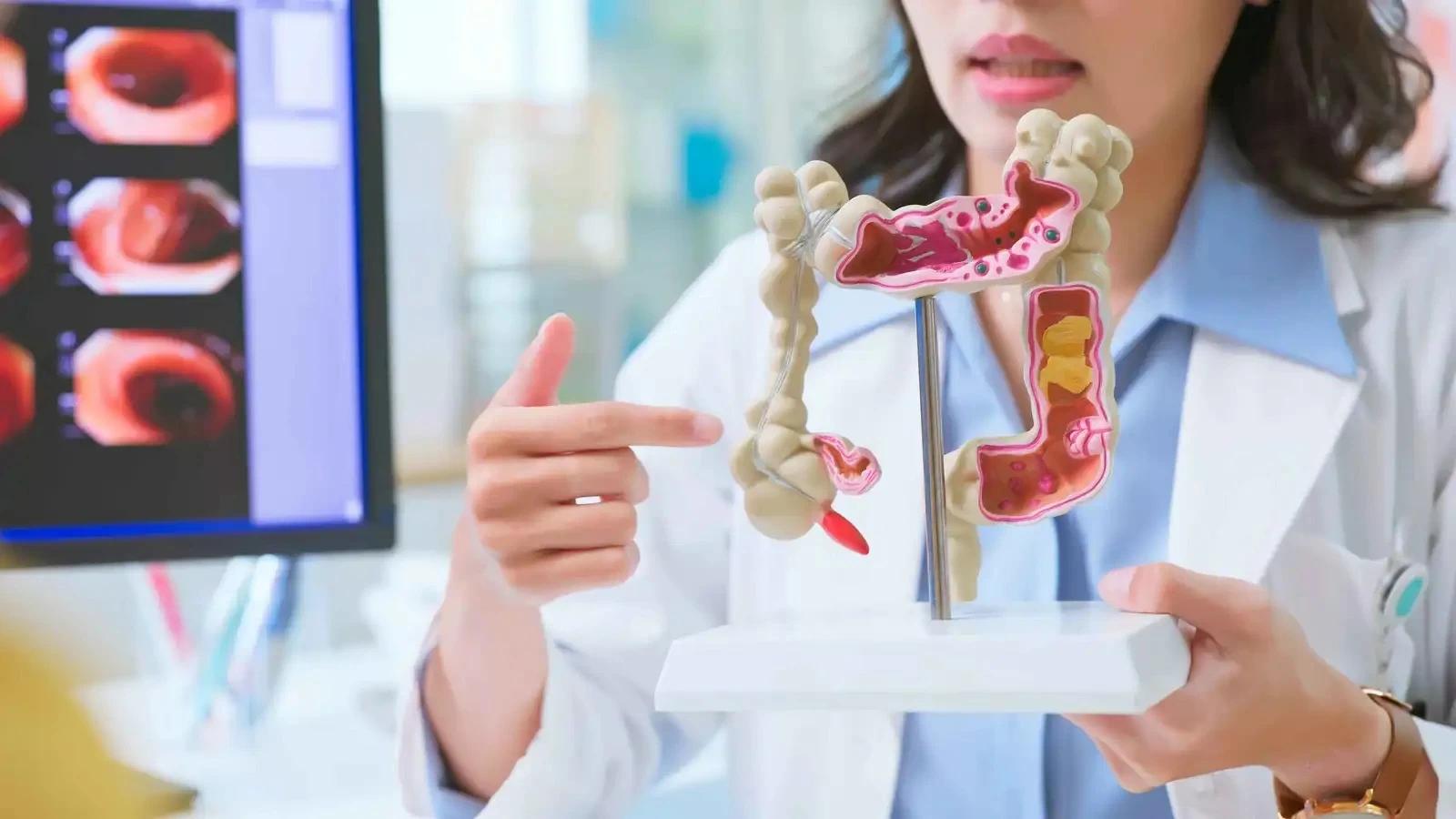 B18136fb 209a 455a b9ee e9ef5c5b5177 file.jpg