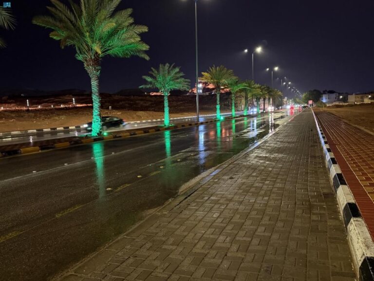 B50ccd4d 2b18 4571 94b8 0f60b476781d file.jpg