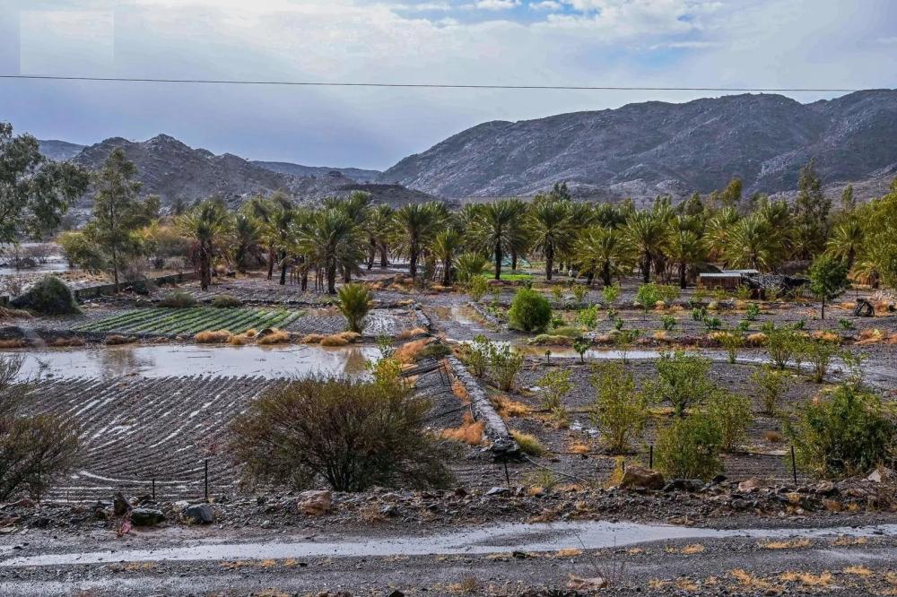 B6afec8a 53e9 4376 bccc bd9cbeda1617 file.jpg