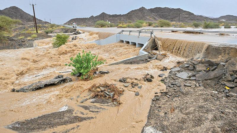 B7b4e6e9 8dfe 4144 bd23 b2c468310797 file.jpg