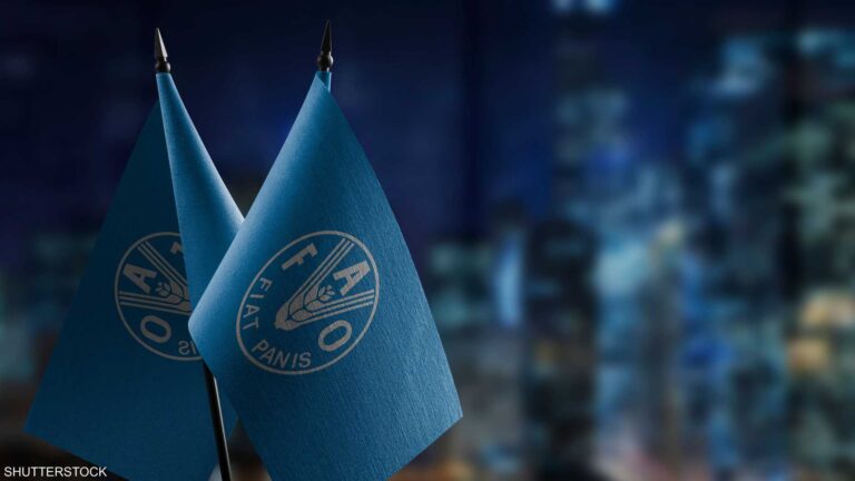 Ba3f4340 4e5c 43d3 8dab e2d2803ad18e file.jpeg