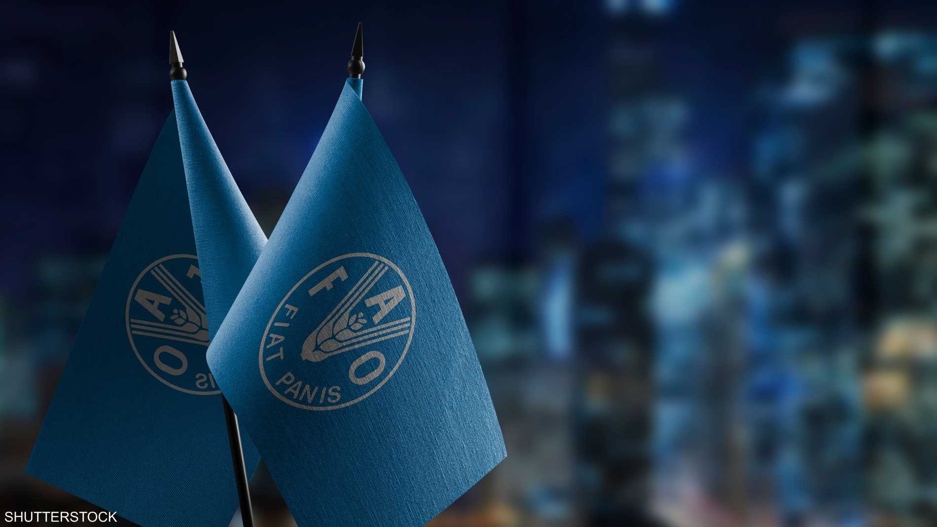 Ba3f4340 4e5c 43d3 8dab e2d2803ad18e file.jpeg