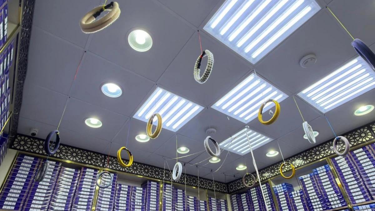 Bdd3a29f f034 4f6d 9311 5fac296e859c file.jpg