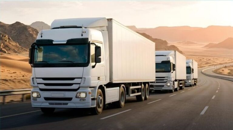 Bdfedfb2 e6d5 43b3 800a f824da075a9d file.jpg