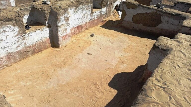 Be069bca 59f6 42d9 9841 8f89f85c4a55 file.jpg