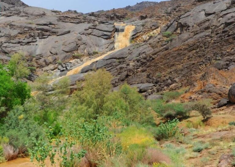 C15c32a1 3ba9 46e8 9231 9e47c958f08f file.jpg