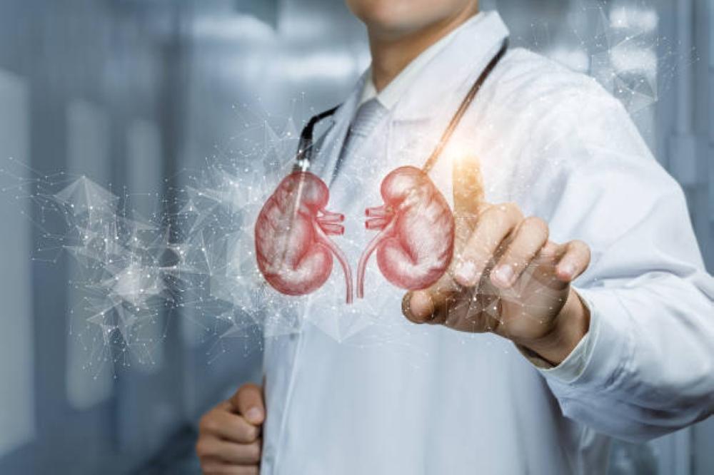 C32b28fe b276 4c69 9143 ce7eb7ee0dff file.jpg