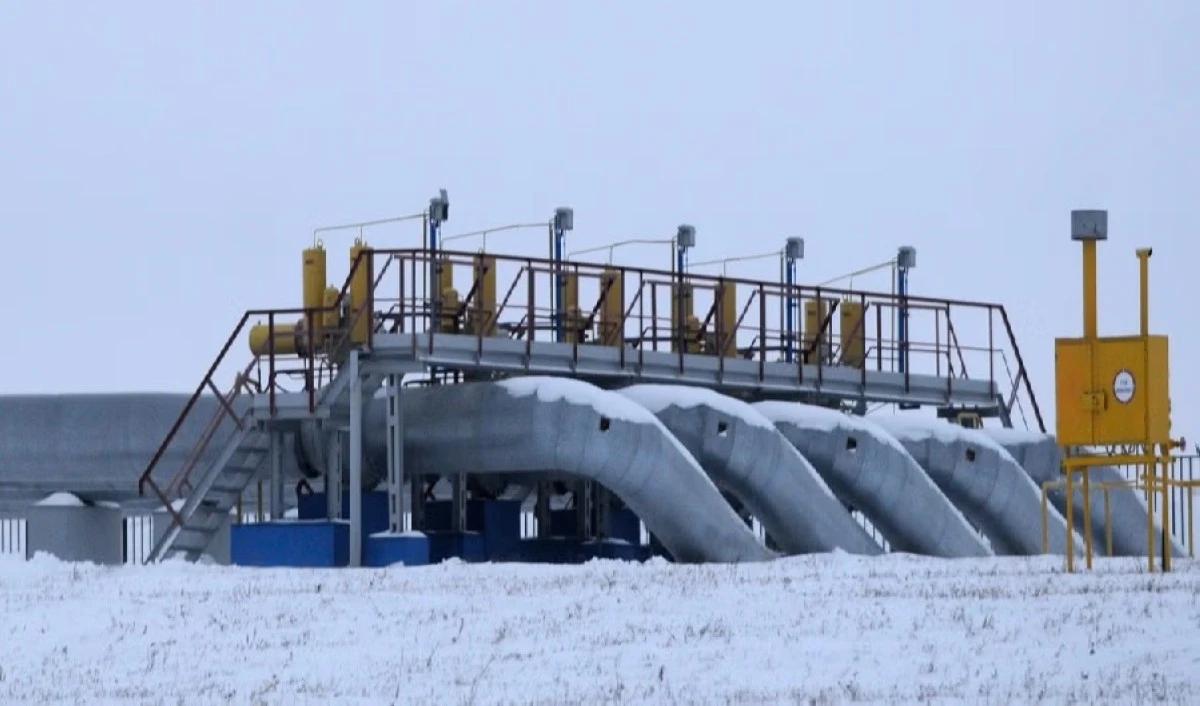 C8a2187d 3cba 482f b5d3 4e07eb71d885 file.jpg