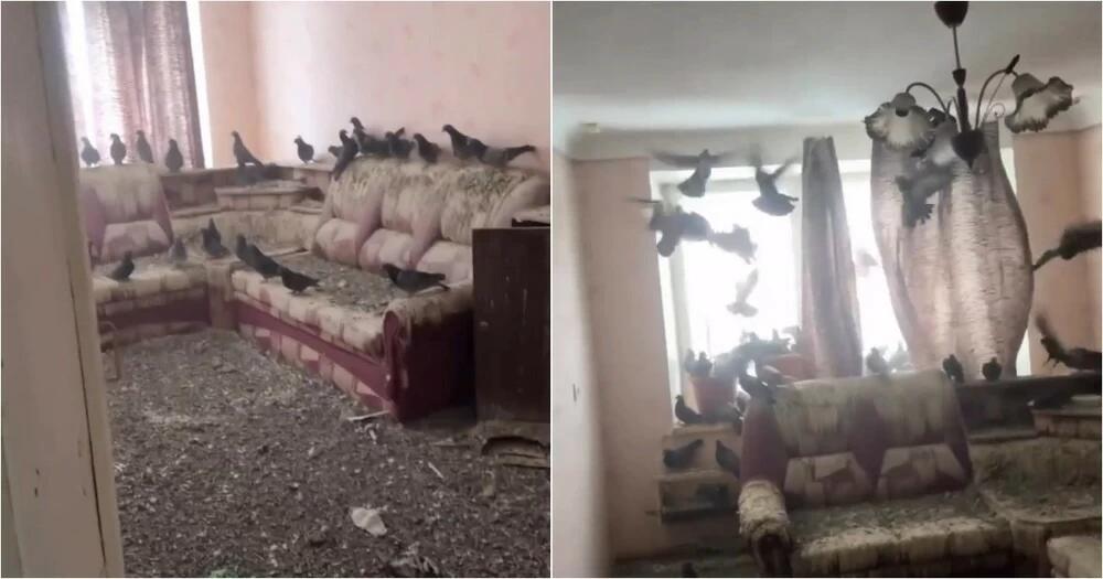 C920a2fb 718a 42f0 b946 73c3eebac189 file.jpg