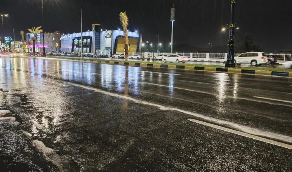 Ce881309 007e 4c40 8e97 529ec1f0b4c9 file.jpg