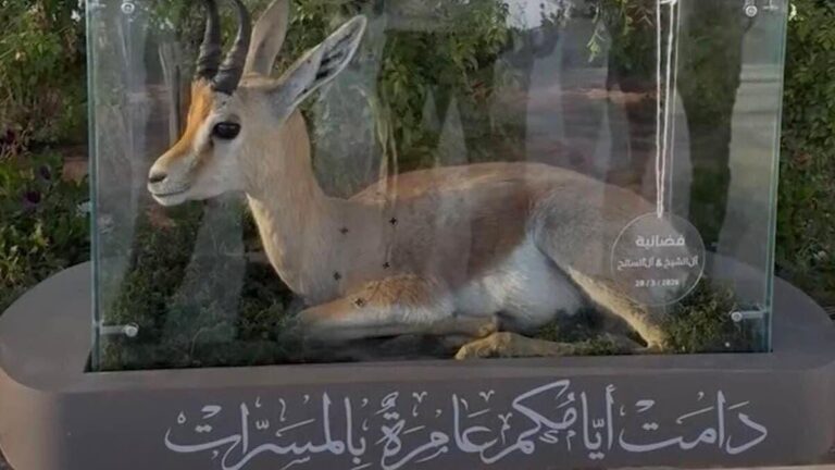 D480e235 01f8 4d3f b0cd f72038a26f66 file.jpg