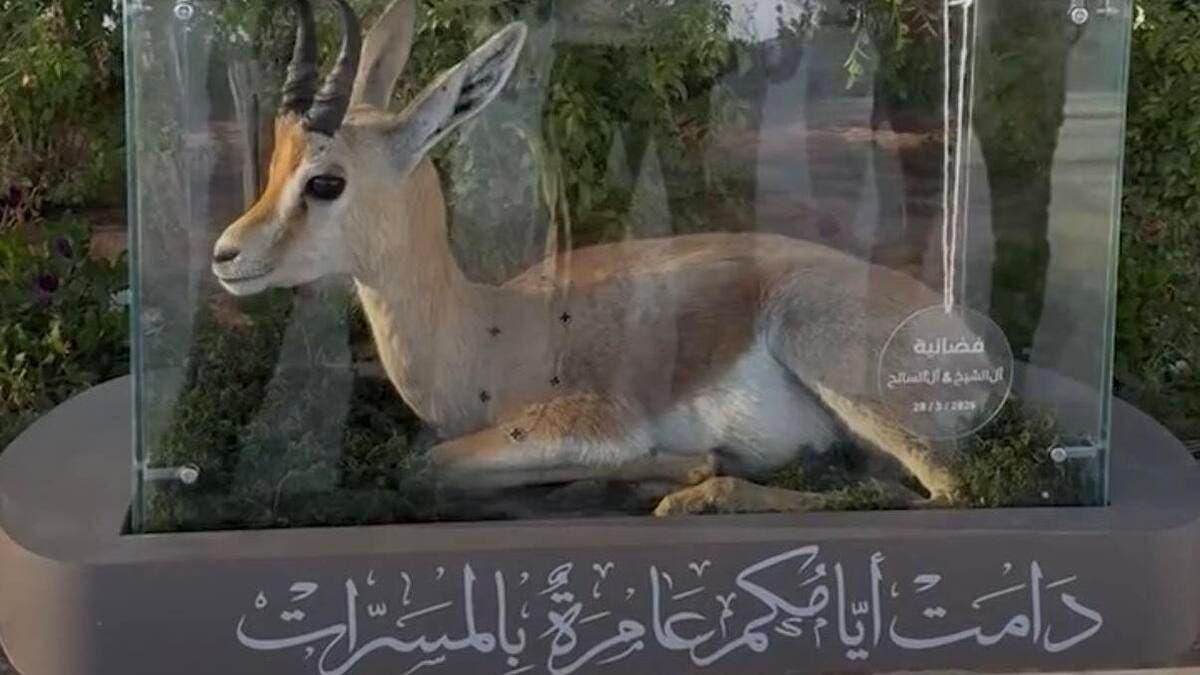 D480e235 01f8 4d3f b0cd f72038a26f66 file.jpg