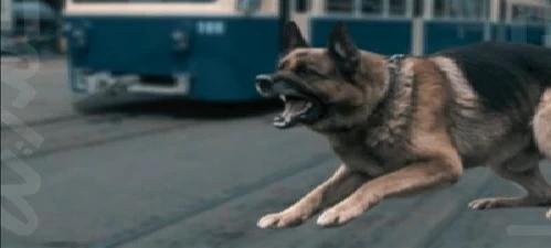 D9e91e8d 7a85 46a6 b6cb c6c50cacbd80 file.jpg