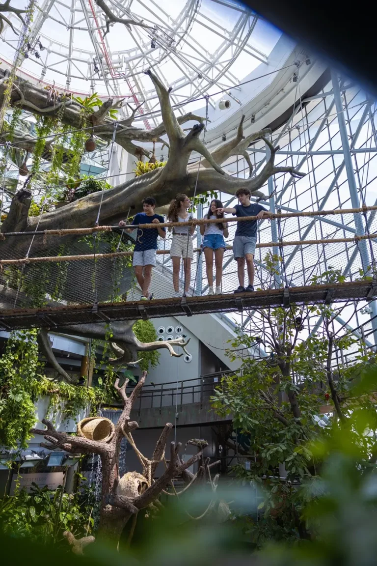 E0a41bd1 b223 4868 a0e3 efe64567d20e zawta.webp