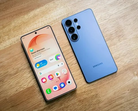 E36329d5 eb10 42cc a10f 5baa0bfcb905 file.jpeg