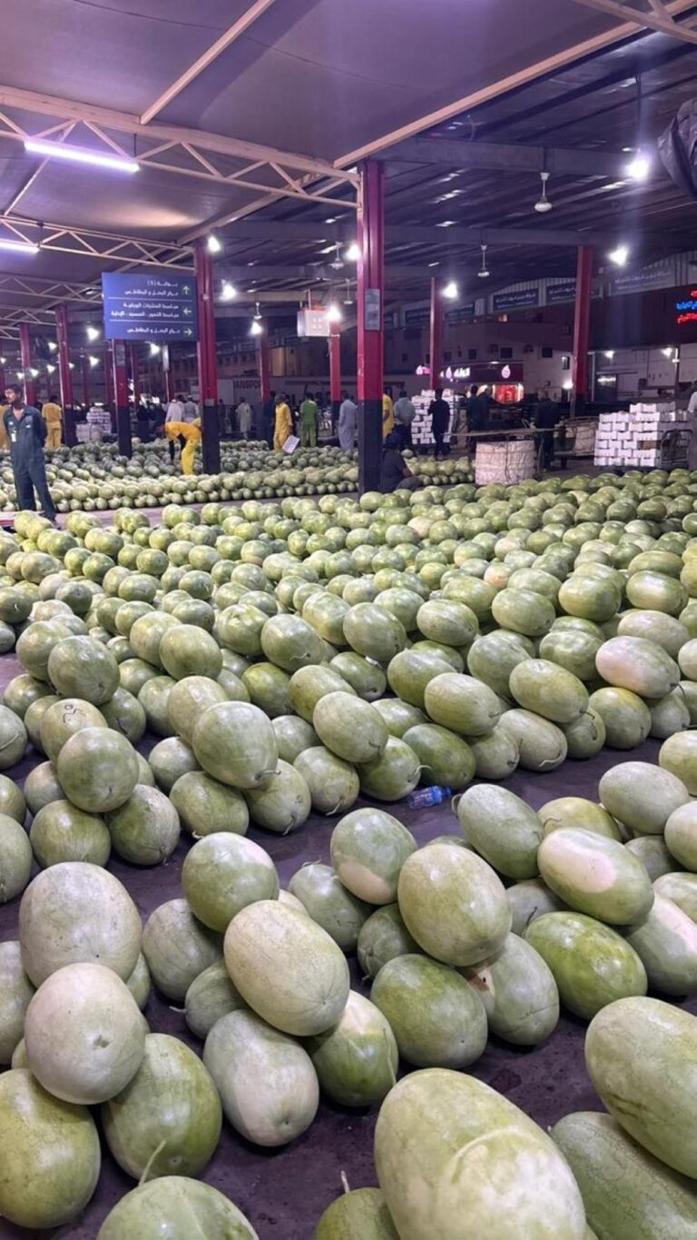 E5cfb168 0833 4fb0 956d 44bb20ccc1bc file.jpg