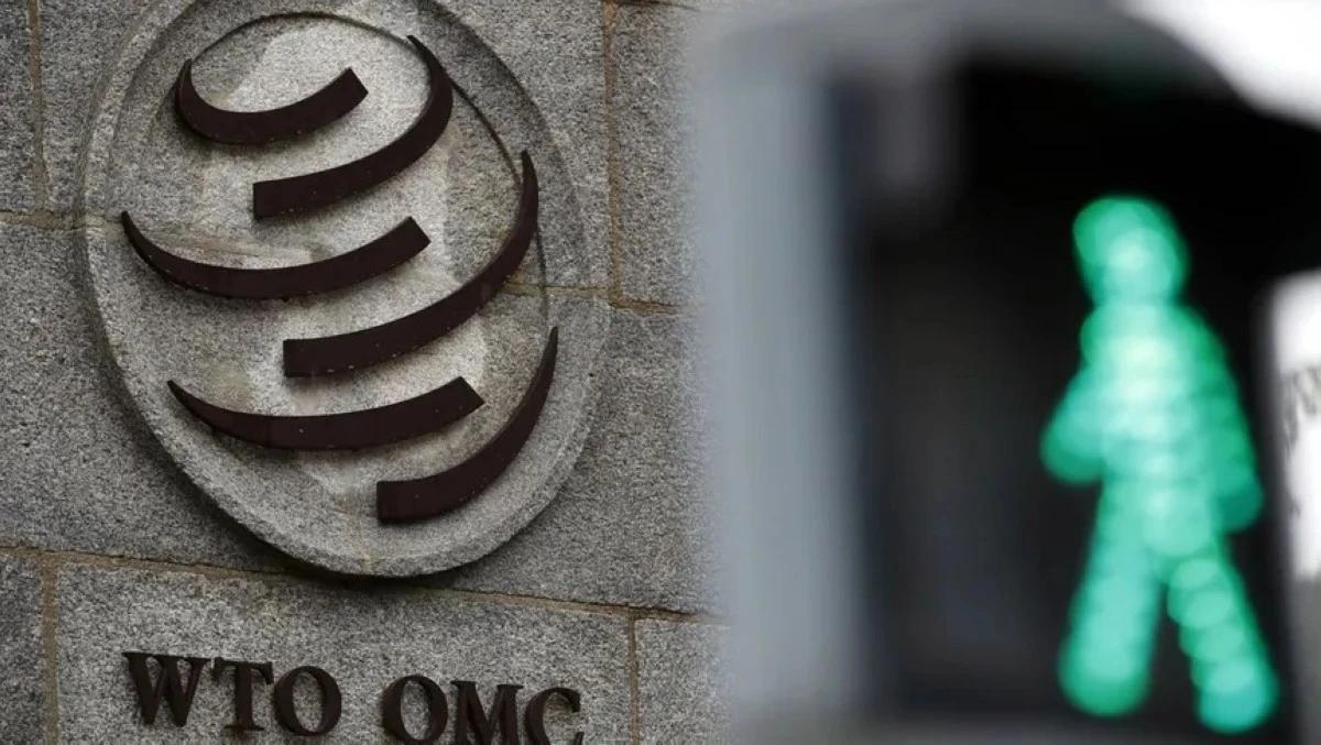 E5f9ec2e 35bd 4d4a b75e d1d146ea5044 file.jpg