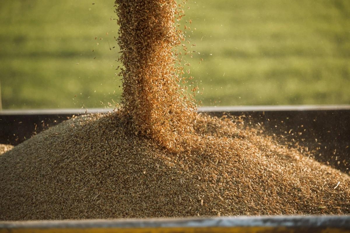 E717eb47 a90b 421c b1be 2be27ba775a2 file.jpg