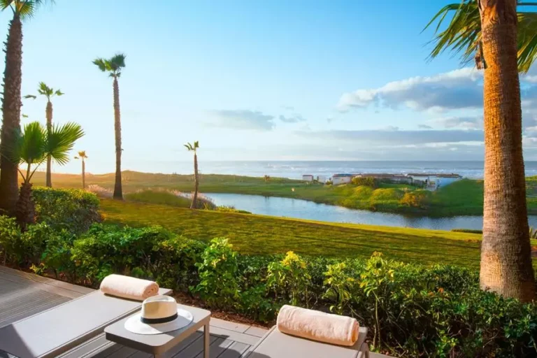 E7c33c18 8680 42a9 9461 69c123af212e zawta.webp