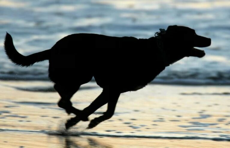 E80368c4 55d8 40a6 ae81 72dd71bb42d6 file.jpg