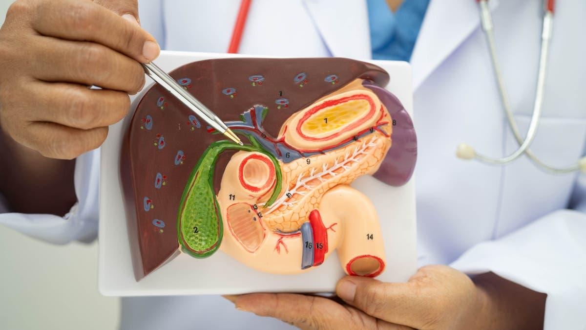 E832ef87 2dc4 41bc b2d1 1ca859277d96 file.jpg