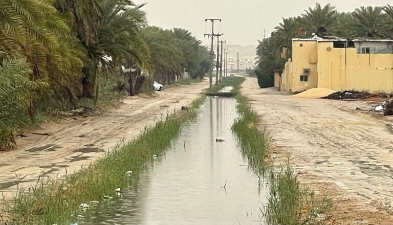 E994cd33 cbb2 4448 b3c2 0dc3142f20ec file.jpg