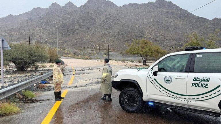 Ead787c0 408f 421e a23a b529ad664d57 file.jpg