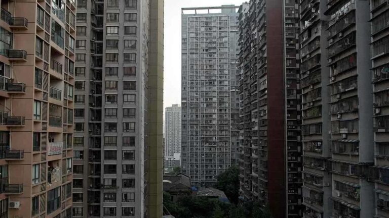 Ec5d48bf da2e 40d9 8376 8c0c57558ff7 file.jpg