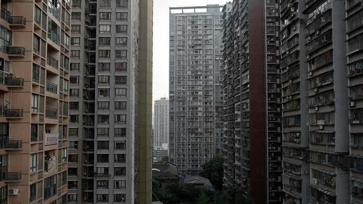 Ec5d48bf da2e 40d9 8376 8c0c57558ff7 file.jpg