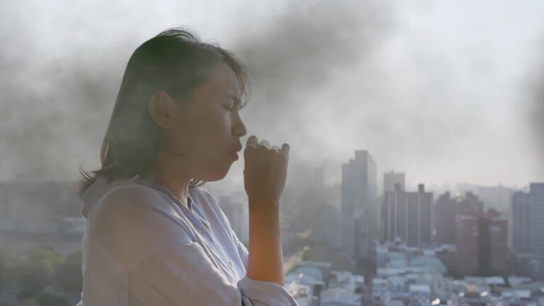 Ecec6f42 5e48 43bb 9d95 96e0309113eb file.jpg