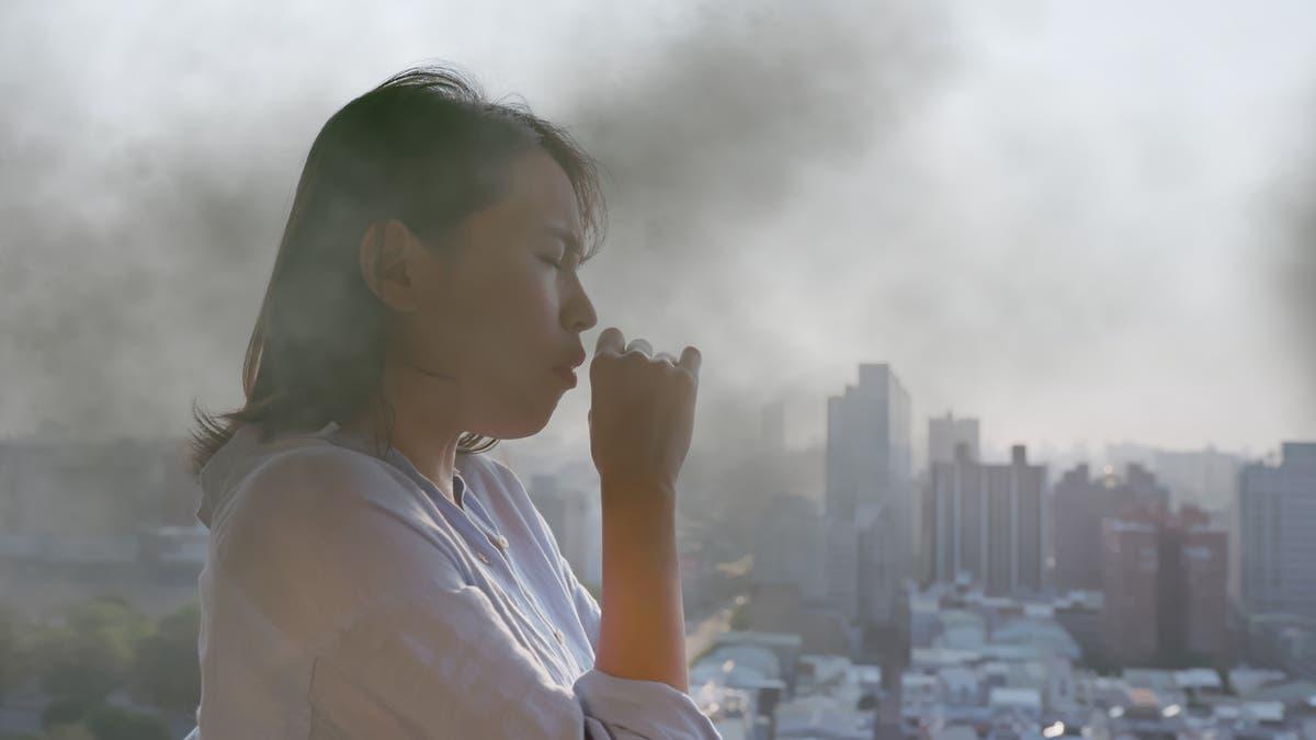 Ecec6f42 5e48 43bb 9d95 96e0309113eb file.jpg