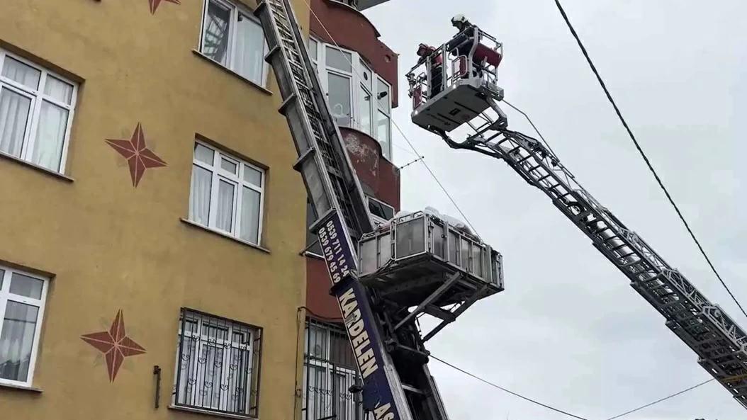 Ed2198ea 9d39 45e0 8144 f7b4dbcf7c4b file.jpg