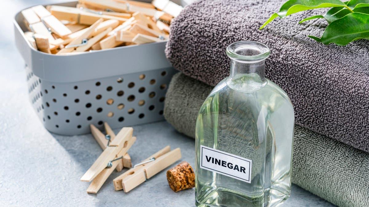 Efc24f36 31d1 4858 9b61 1d70f7b0a579 file.jpg