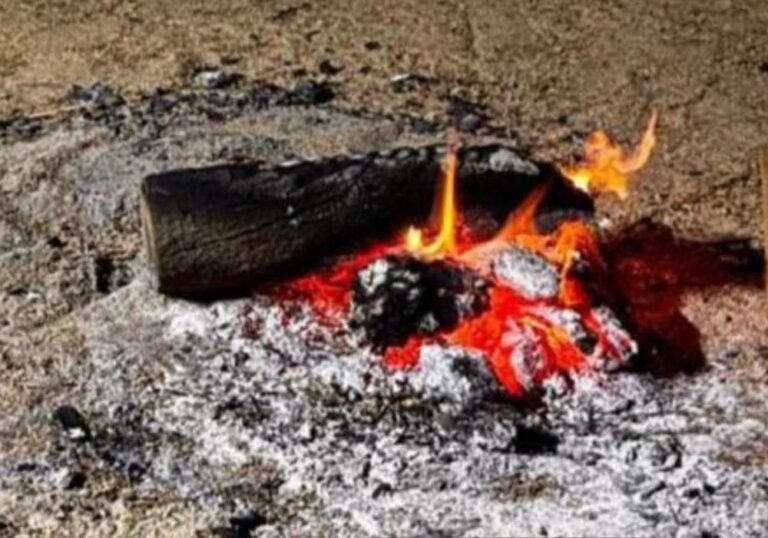 Effe8bee 2c03 4ef4 8386 db005bccbcc1 file.jpg